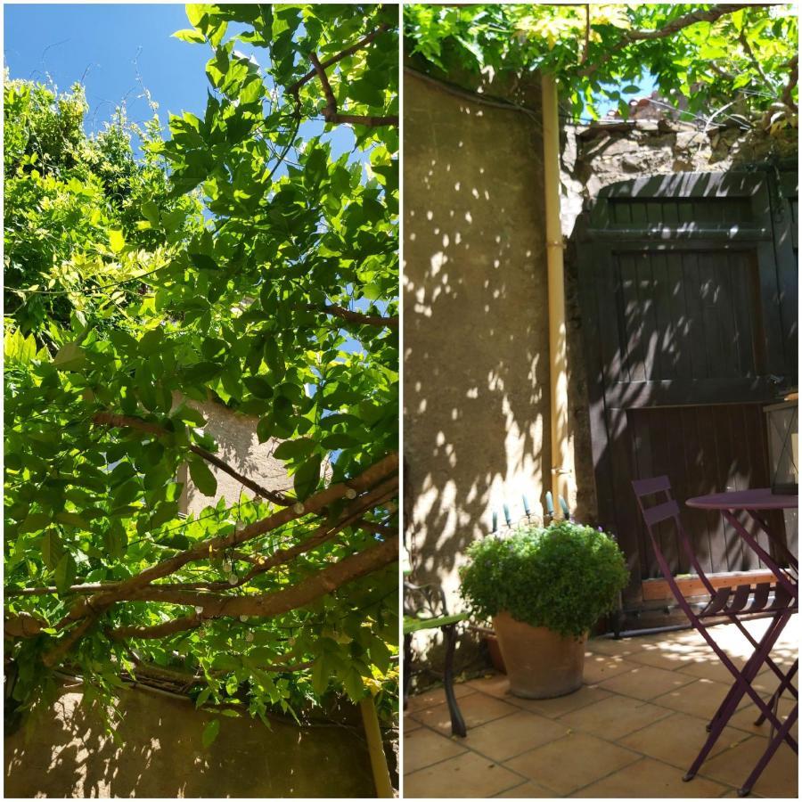 Camps-sur-l'Agly Le Chateau מראה חיצוני תמונה