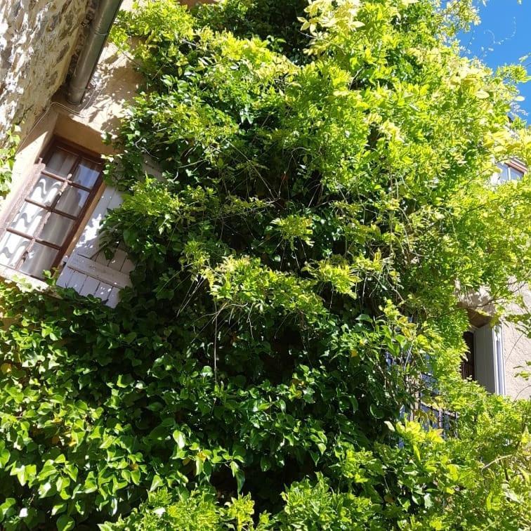 Camps-sur-l'Agly Le Chateau מראה חיצוני תמונה